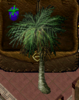 Palm Date Tree.png
