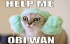 help-me-obi-wan-cat-meme.jpg
