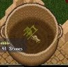 chair.jpg