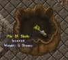 Skull.jpg