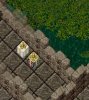 Giftboxes.jpg