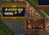 rares2.jpg