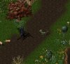 green battle chicken.jpg