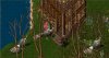 giant-turkeys1.jpg