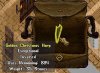 golden harp 2.jpg
