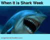 shark.gif