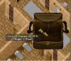 Torso.jpg