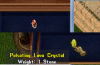 Lava Crystal.png