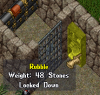 bookcase.PNG