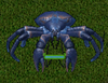 coccrab.png