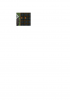 Mesanna Pumpkins.png Mesanna Pumpkins.png