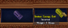 ev item.png