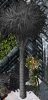 damaged scroll.png