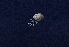 damaged scroll.png