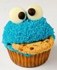 cookiemonstercupcake.jpg