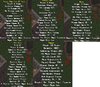 Splintering weapons.jpg Splintering weapons.jpg