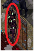 rose 1.png