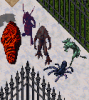 UO Stuff.png UO Stuff.png