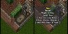 Seona.jpg
