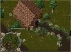 sakura yew.jpg sakura yew.jpg