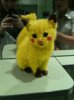 pikachu kitty.jpg