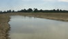 DSC03113.JPG