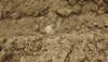 DSC03100.JPG