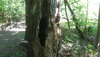 DSC03227.JPG