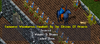 wheel barrow.png