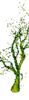 1666795862382.png