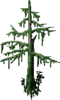 1666796014881.png