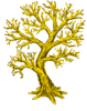 1666796139105.png
