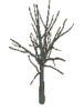 1666796266776.png