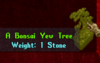 1666909840480.png