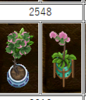 2548.png