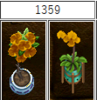 1359.png