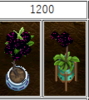 1200.png