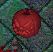 Screenshot - 10_3_2013 , 10_23_04 AM.jpg