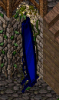 EM Event Mirror.png