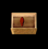 cacoon.PNG cacoon.PNG