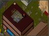 grape vine.png