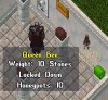 bee.jpg