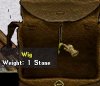 wig.jpg