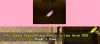 Event Item.png