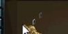 ScreenShot011.jpg