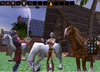 Horses&Meer&Juka_UO2.jpg