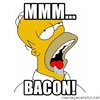 mmm-bacon-v0-zs10ohlprecb1.jpg