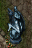 Statue of Noxum, The Sister of Sea Witch Sycorax.png