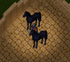 Jet black horses.png