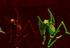 1728542002029.png